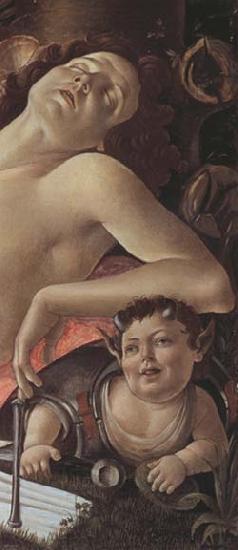 Sandro Botticelli Venus and Mars China oil painting art